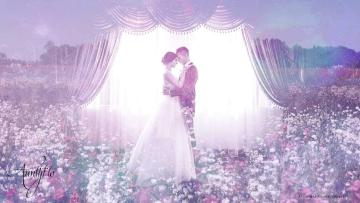 white wedding dress dream