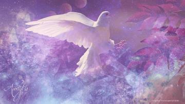 Bird Landing Dream Meaning