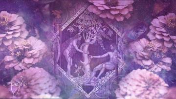 pink dream meaning
