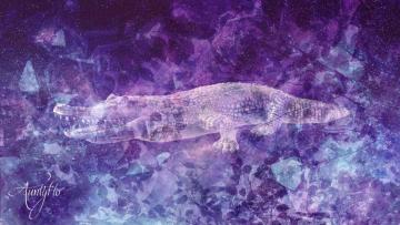 Dream dictionary meaning Alligator