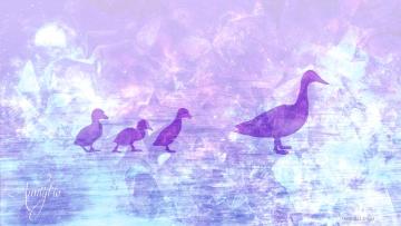 Baby duck