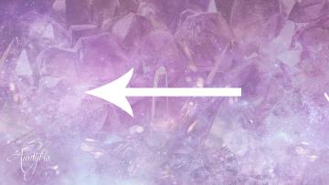 back meaning
