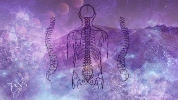 backbone meaning dreams