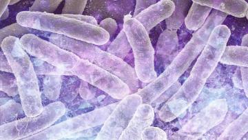 Bacteriological war