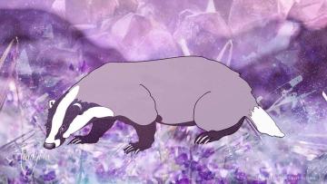 Dream dictionary meaning Badger