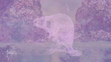 Dream dictionary meaning Beaver