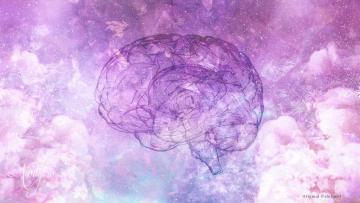 Dreaming and meanings Brain