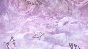 Brook Dream