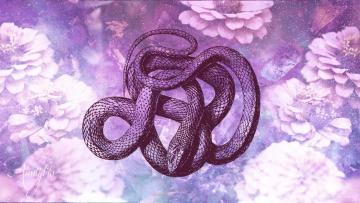 Brown snake dream
