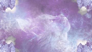 Dead Cat Dream Meaning