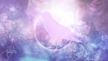 Crow dream meaning