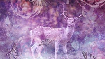 Deer dream meaning