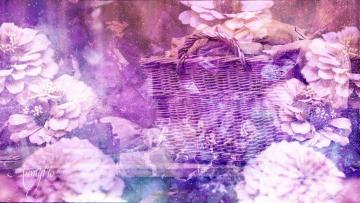 Dirty Laundry