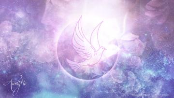 dove dream meaning