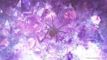 Dreaming of black spiders