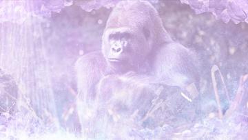 Spinning Monkey GIF - Spinning Monkey You Played Yourself