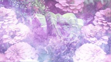 Green Snake