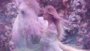 Wild Dream Meaning