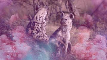 Hyena