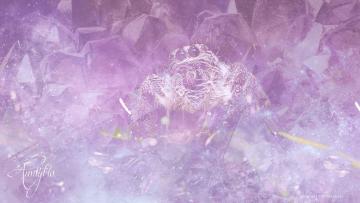 Jumping Spider