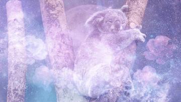 Bear Dream Meaning: Interpretations