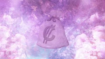 Money in A Bag