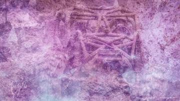 mud dream