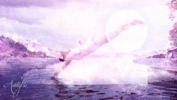 Nose Dive