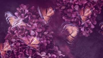 Dreams Of Purple Butterfly