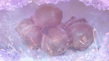 Onion