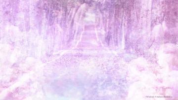 Path
