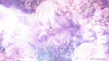 Pets