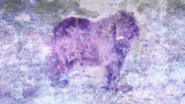 Pony