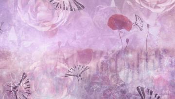 Poppy / Poppies