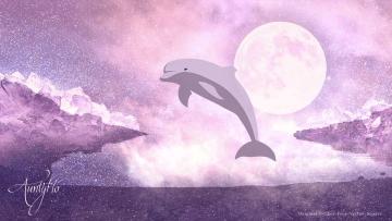 Porpoise