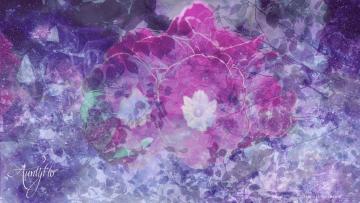 Primrose