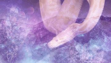Python Snake