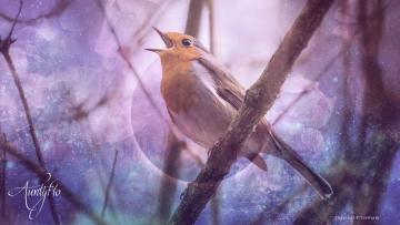 Singing