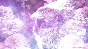 Smell