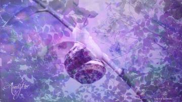 Snail