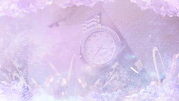 Stolen Watch