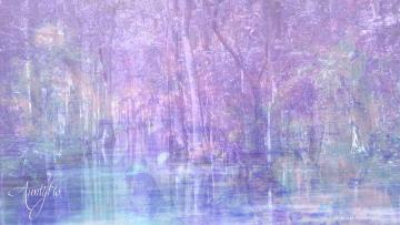 Swamp