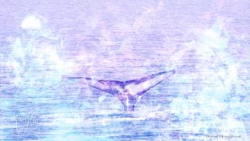 Tail
