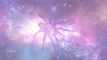 Tarantula
