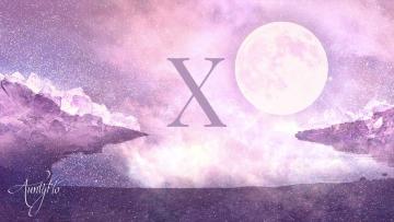 The letter X
