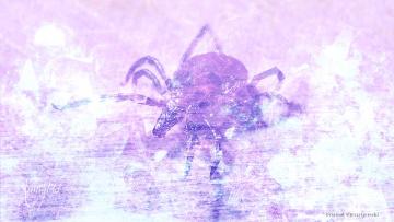 Ticks