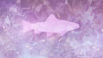 Trout