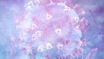 Virus