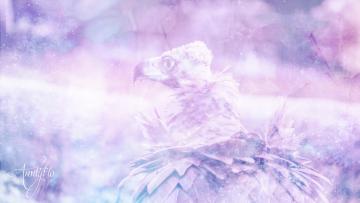 Vulture