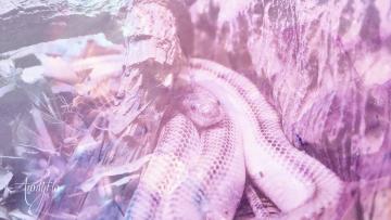 White snake